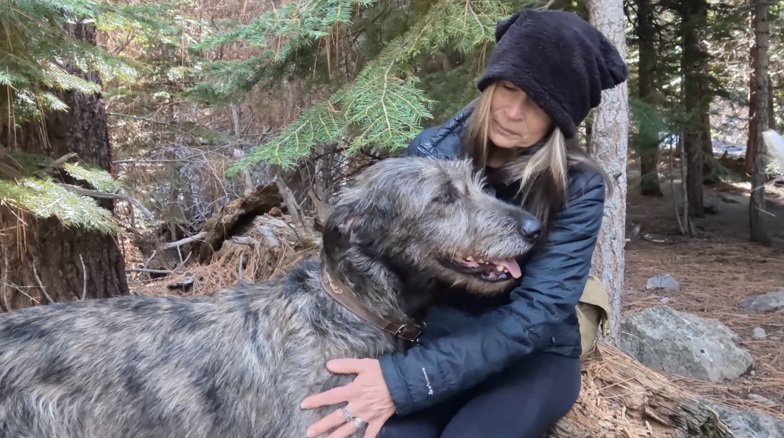 Hiking with Irish Wolfhounds: Lessons from Our First Spring Outing